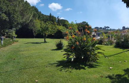 Agriturismo Rebua - Foto 5