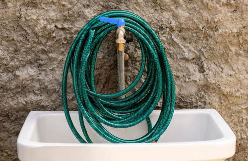 Chiwi's Home 2 - Photo 23