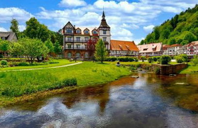 Black Forest Retreat Bad Herrenalb - Foto 27