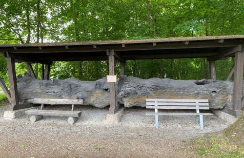 Appartementhof Stadler - Foto 52