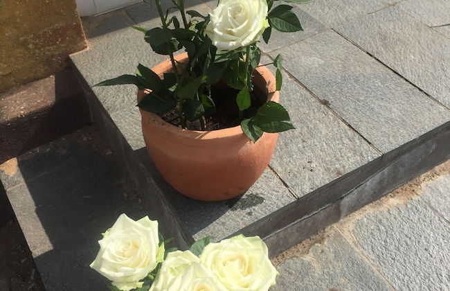 Holiday Home Rejsby near Rømø - Foto 75