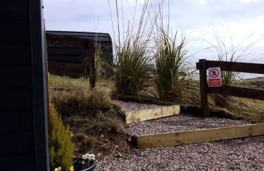 Faodail 'a lucky find' - Foto 3