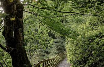 North Lodge & River Cabin - Foto 21