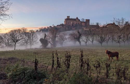 Manoir du Boscau, Gilles del Bosc - Foto 11