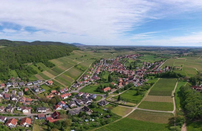 Apartment in Pleisweiler-oberhofen - Photo 20