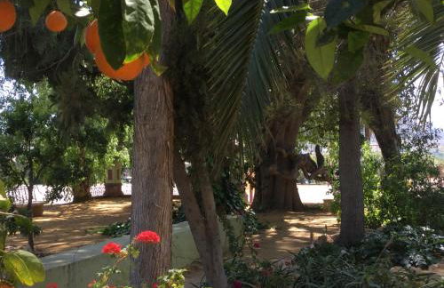 Finca La Florida De San Antonio - Foto 8