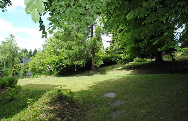 Habitación Doble Estándar - Panorama Hotel Pension Frohnau - Foto 23