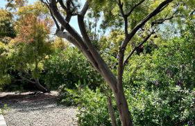 Agriturismo Azzurra Biricchina - Foto 15