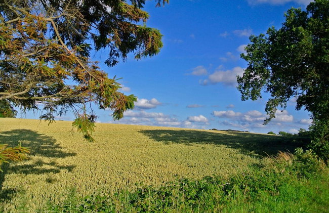 Luxury Retreat in Hejlsminde - By Traum - Foto 30