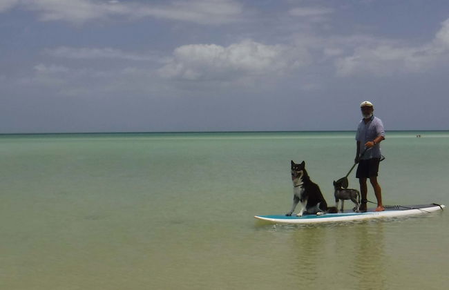 Paddleboard Tour in Holbox - Photo 8