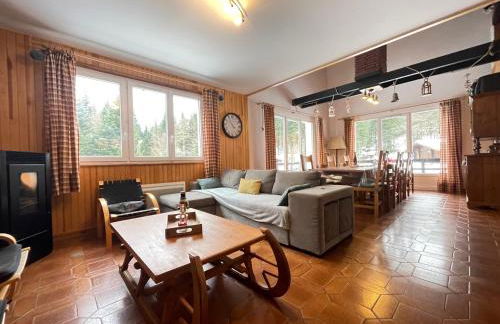 CHALET DES HAUTS SAPINS LA BRESSE - Photo 17