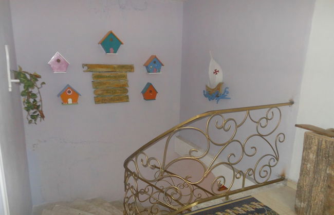 Whole House To Your Self Now Swimming Pool - Photo 15