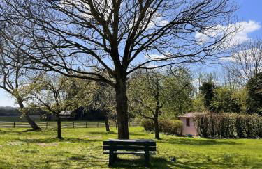 Moorhuus - Paradies am Wilden Moor - Foto 16