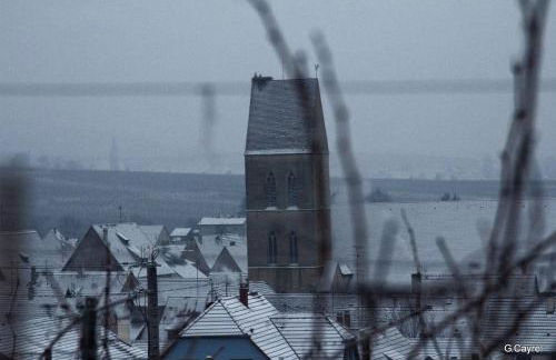 Fleur de Vigne - Foto 49