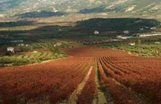 Georgia's Village House - Foto 53