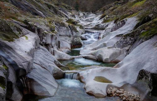 El Cantillo del Jerte - Foto 40
