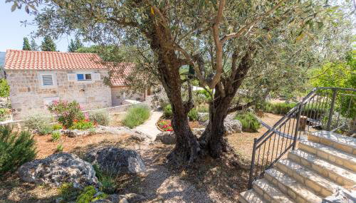 Olive Garden - Foto 2, Garden