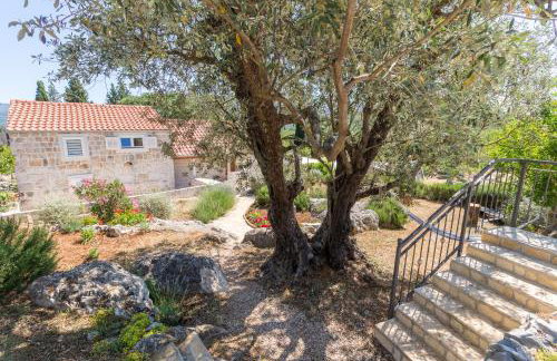 Olive Garden - Foto 2