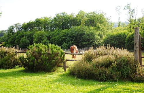 La Casa Degli Elfi - Foto 11