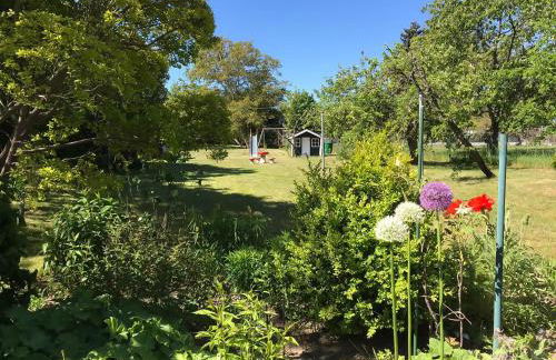 Ferienwohnung Seeadler - Foto 12