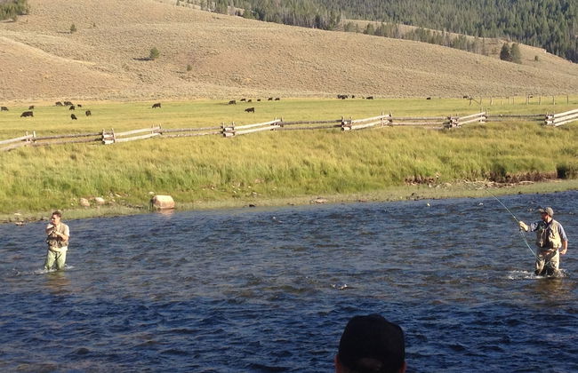 Redwood Cabins - Foto 37