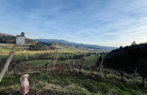 Zuhause auf Zeit - Foto 42