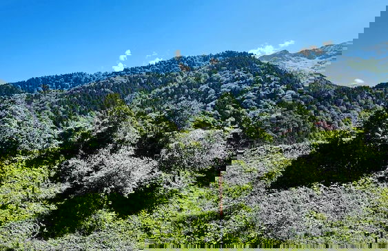 Tapanoz Villa - Foto 75