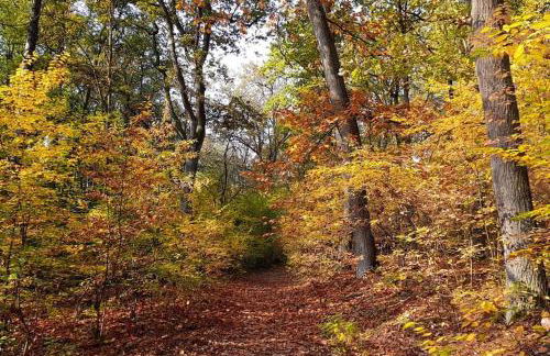 Private Souterrain Apartment in the green of Berlin - Foto 17