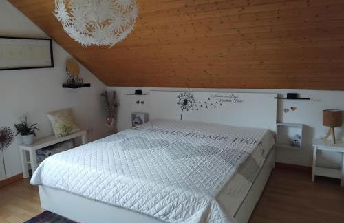 Ferienwohnung Monteurwohnung Pusteblume - Foto 1