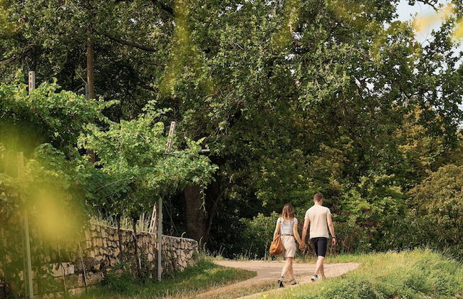 Le Bignele - Alloggio Agrituristico - Foto 33