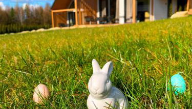 Galena i Gnejs - Foto 1