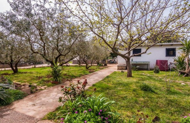 Seaside Oasis Apartments on Island Ugljan - Foto 36