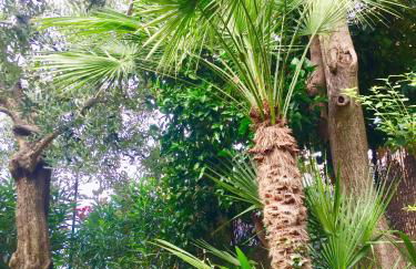 In Riva al Lago di Iseo Residenza Primo Piano - Foto 29