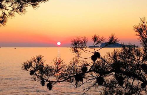 NEW Apartment Roko Zvekovica -Cavtat,near Dubrovnik airport - Foto 42