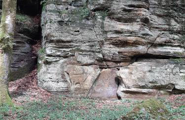 Ferienhaus Chalet Cottage Ourtalblick 2km von Vianden-Lux - Foto 20