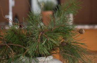 Warmia107-Butikowy dom nad jeziorem - Foto 14