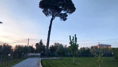 Da Barbara & Simone - Foto 5, Garden view