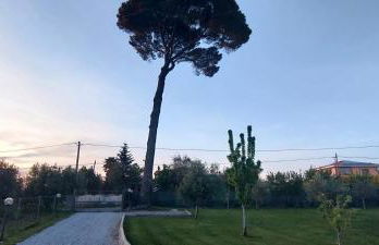 Da Barbara & Simone - Foto 5