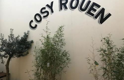 CosyRouen bouquet parking gratuit - Photo 36