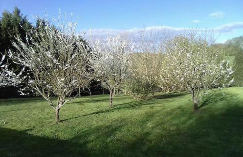 Dépendance pour 1 à 4 pers au calme dans propriété - Foto 11