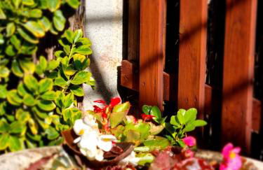 Ca la Pauleta - Foto 36