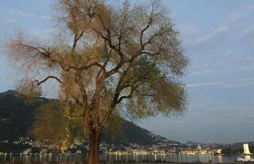 IRIS 2 lago di Como - Foto 53