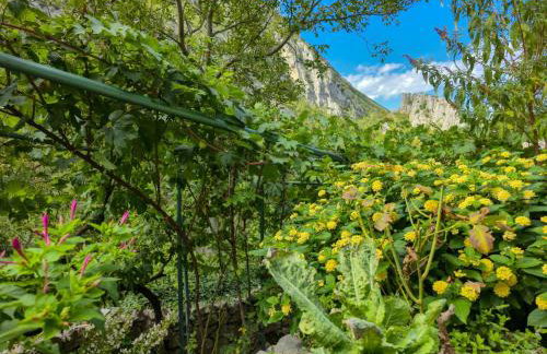 Villa Tiho - Foto 50