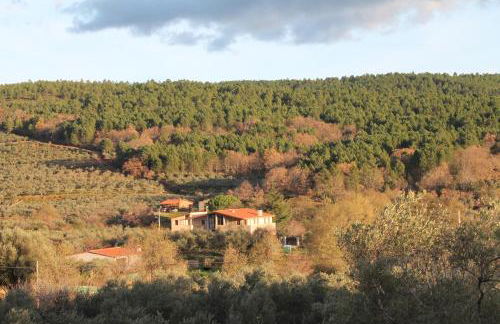 Casa Rural La Flor del Naranjo - Foto 62