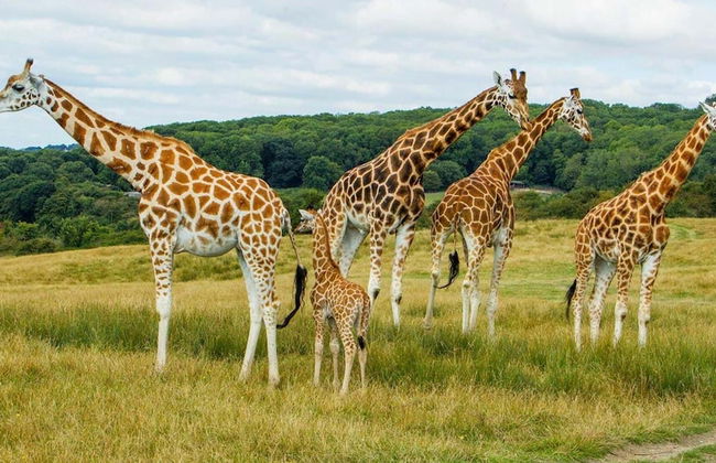 Luxurious 2-bed Apartment in Maidstone Kent - Foto 20