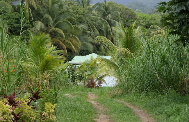 Citrus Creek Plantation - Photo 11