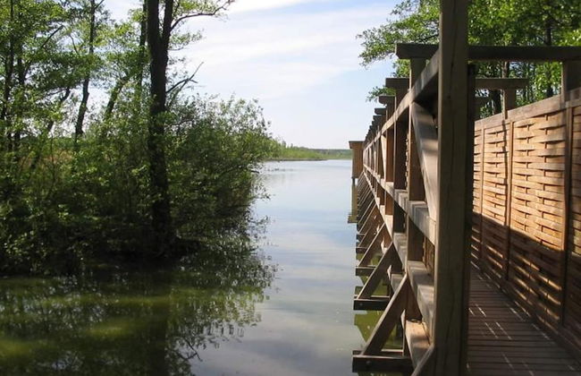 Feriendorf am Weinberg, Dobbrikow - Foto 20