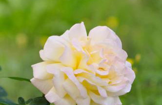 Apartman Anita - Foto 10