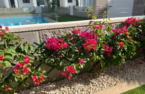 Casa La Mariposa - Photo 22