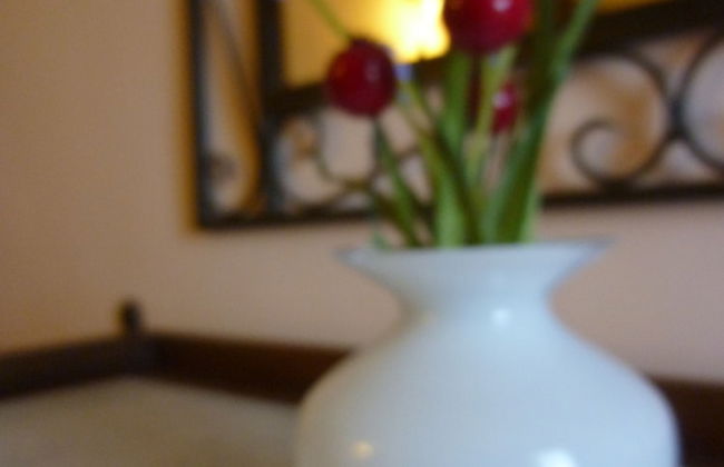 Casale dei Gelsi Bed & Breakfast - Foto 73